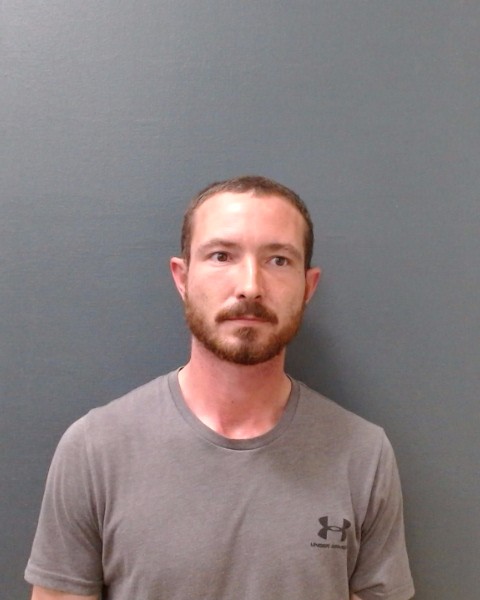 PHARR, JOHN VISCONTI booking photo