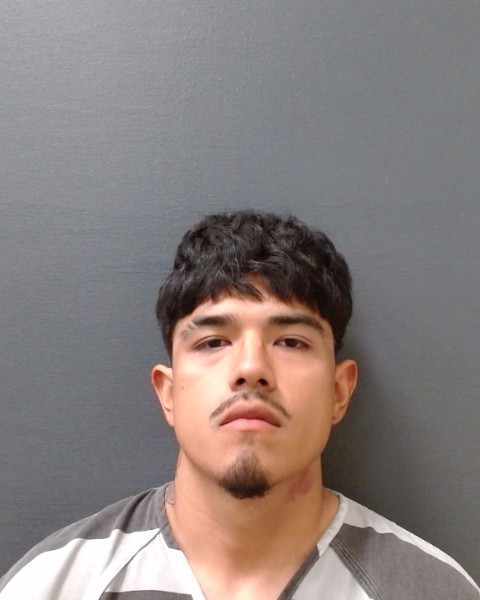 HERNANDEZ, MAX booking photo