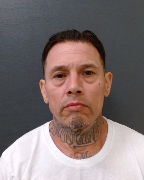 CASTILLEJA, FELIX VILLARREAL, Jr. booking photo