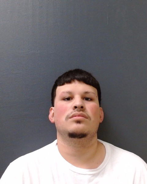DELGADO, NOAH ANGELO booking photo
