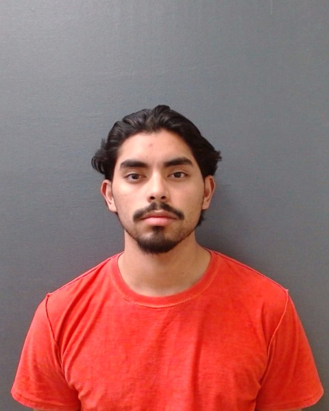 ANDRADE, RAMON, Jr. booking photo