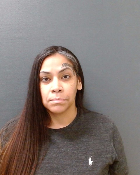MORENO, LISA ANN booking photo