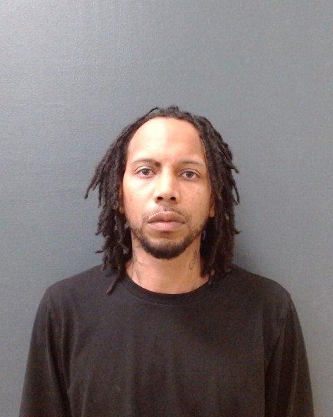 LESURE TRAVIS, MARCUS JERMAINE booking photo