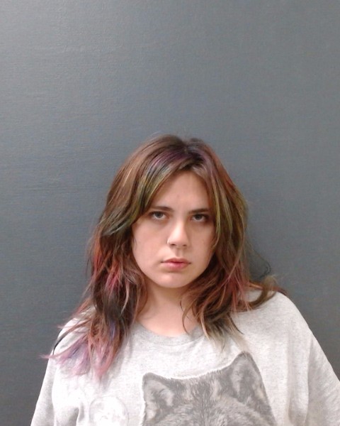 SANCHEZ, MIRANDA NICOLE booking photo