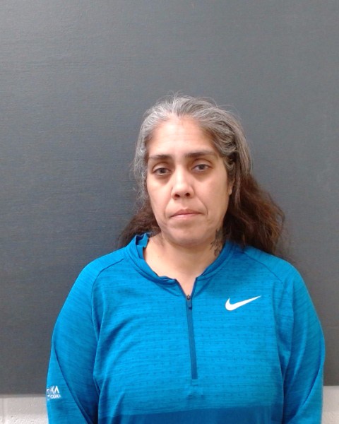 BERMEA, STEPHANIE APRIL booking photo