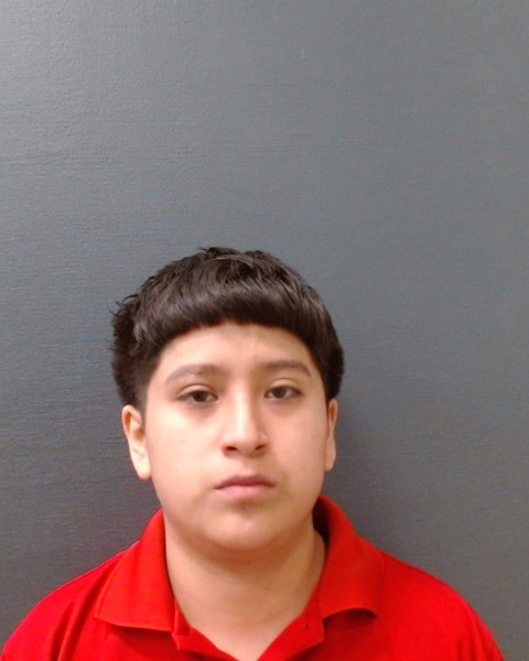 TORRES, ANGELL RENEE booking photo