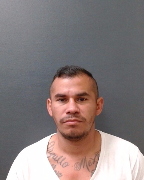 MATA, ALEJANDRO DELGADILLO booking photo