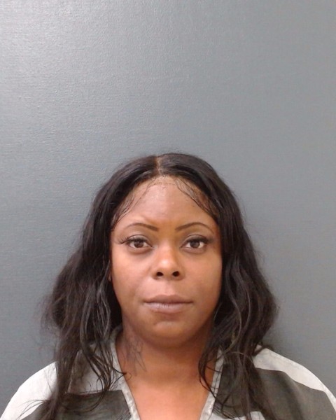 JOHNSON, TWILA YVETTE booking photo