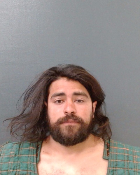 SOTELO SOTO, MARIO ALBERTO booking photo