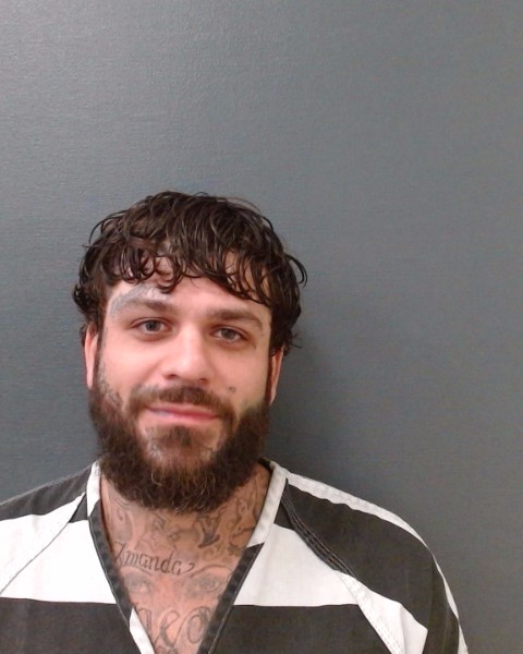 ROWLAND, BRYAN ALBIN booking photo