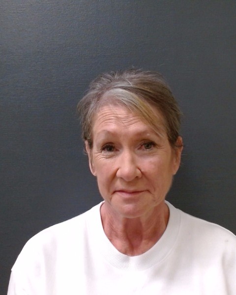 HOLLEY, STEPHANIE COLLEEN booking photo