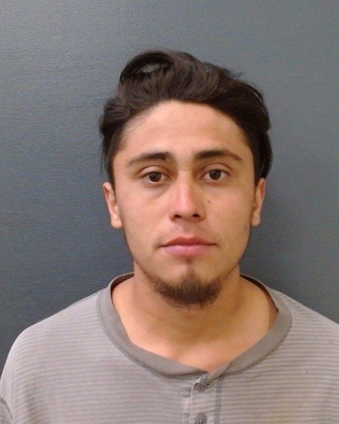 LAZARO PINEDA, FREDDY ANTONIO booking photo