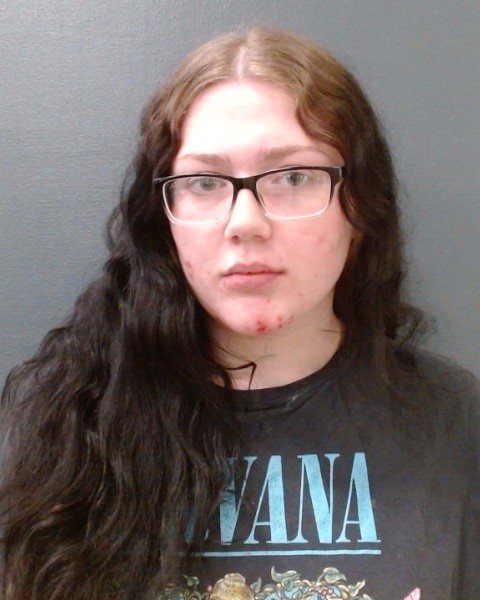 PETERS, AUBREE LYNN booking photo