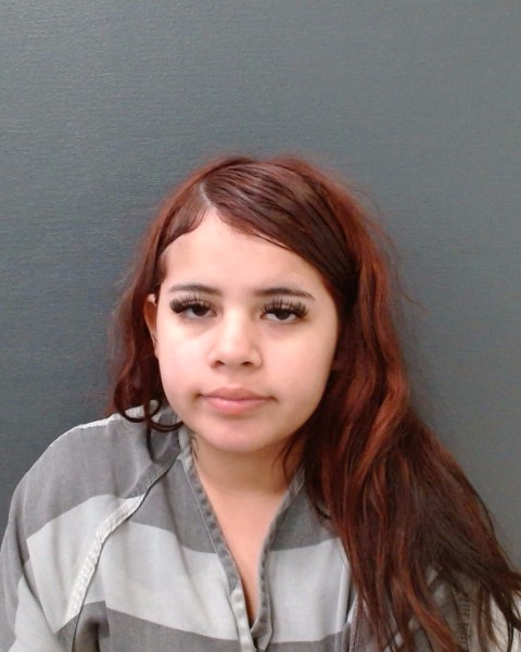 NIXON, AMANI MARIA booking photo