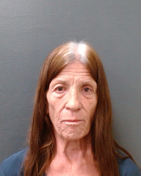 TOMLIN, PENELOPE LYN booking photo