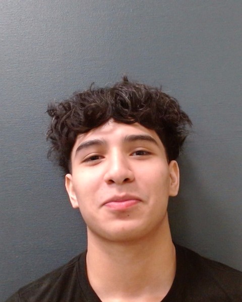 VARGAS, ANGEL GUADALUPE booking photo