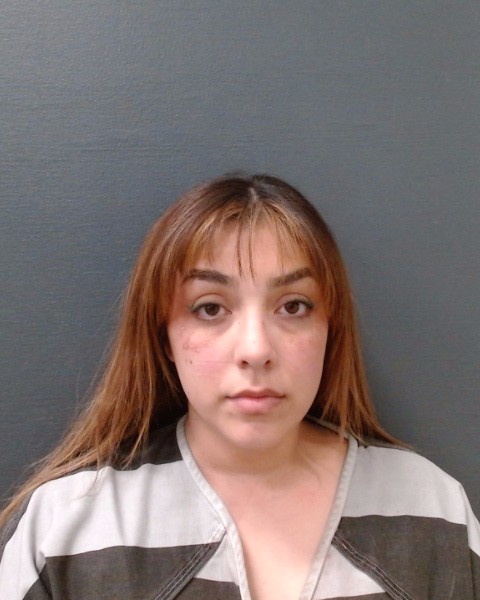 TALAMANTES, BRIANNA RENE booking photo