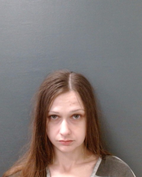 DAVIN, RILEY MACKENZIE booking photo