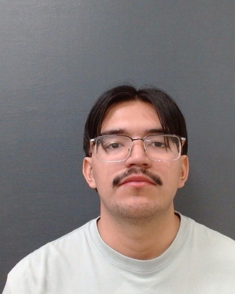 GONZALEZ, DAVID booking photo