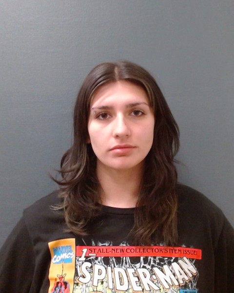CASTRO, BREANNA NICHOLE booking photo