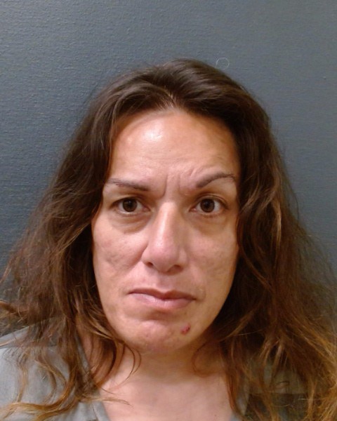 JESSOP, DEBBIE LEI booking photo