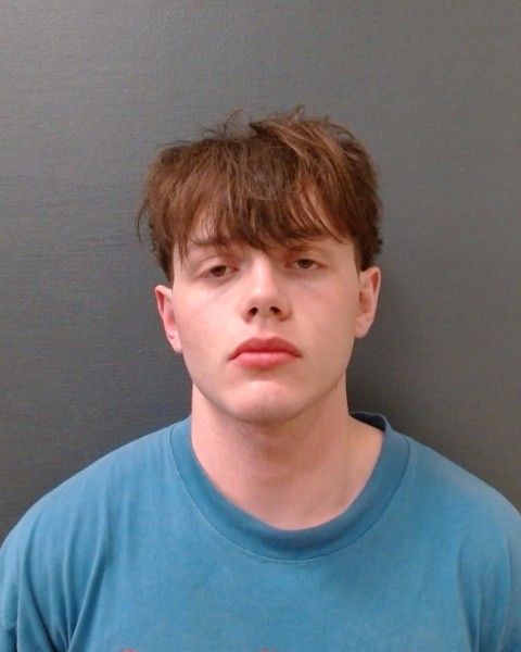 SCARDINO, ALIJAH RAYNE booking photo