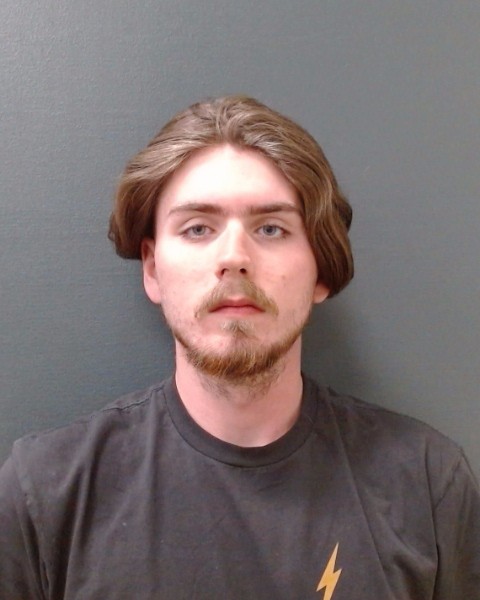 LEWIS, BRANDON MATTHEW booking photo