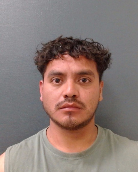 CHIGUICHON PINEDA, CESAR ESTUARDO booking photo