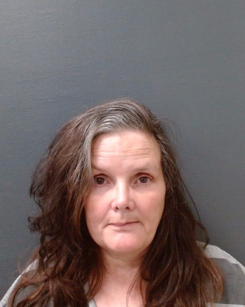 HENDRY, DANA LYNN booking photo