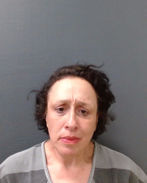 PERKINS, STEPHANIE booking photo