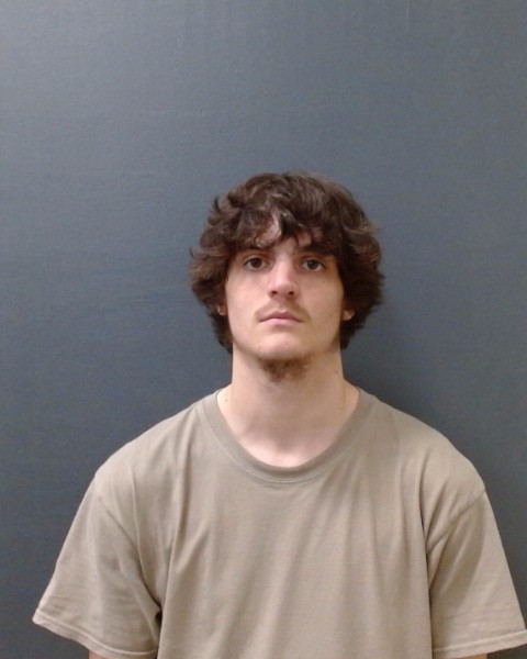 LEITGEB, DILLON MATHEW booking photo