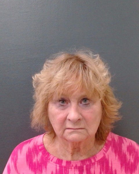 BRUMFIELD, GAIL ANN booking photo
