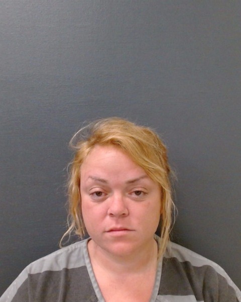 HARRIS, NICOLE LYNN booking photo