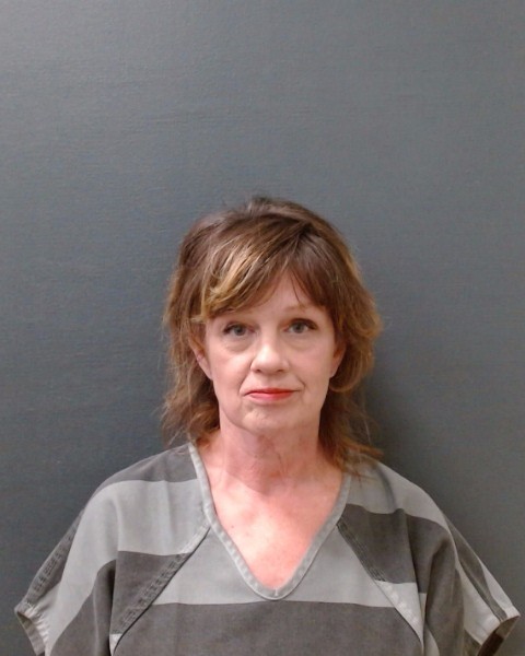 REYNES, LEANNE DAWN booking photo