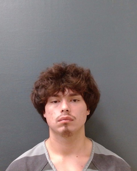 RICHMOND, NICODEMUS DADE booking photo