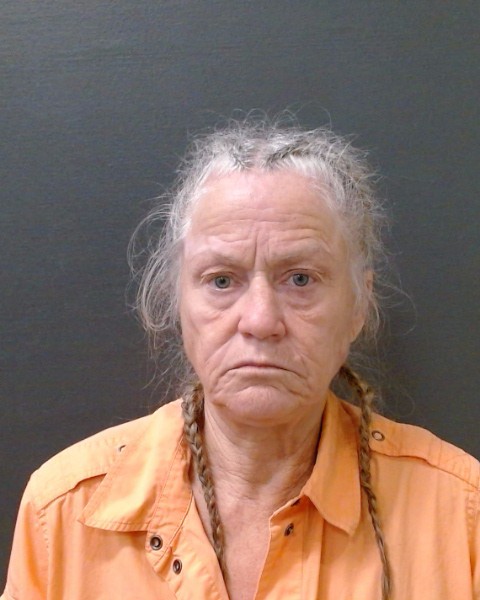 SAURAGE, SUSAN BREWER booking photo