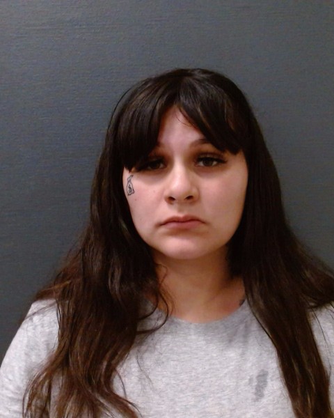 RODRIGUEZ, DANIELLA CELESTE booking photo