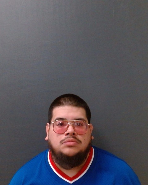 ROSALES, GEORGE booking photo