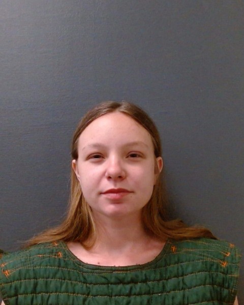 SHOFFNER, KYLEE BREANNE booking photo