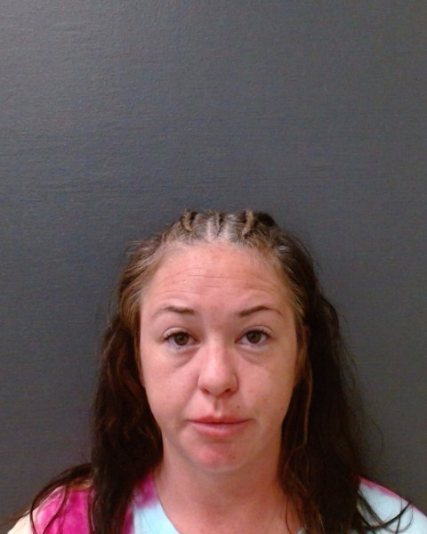 SANDERS, NICOLE RENEE booking photo