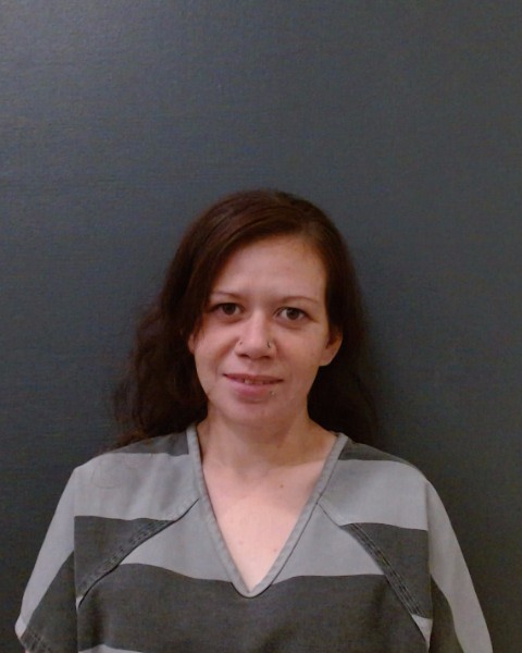 SANCHEZ, MONICA RENEE booking photo