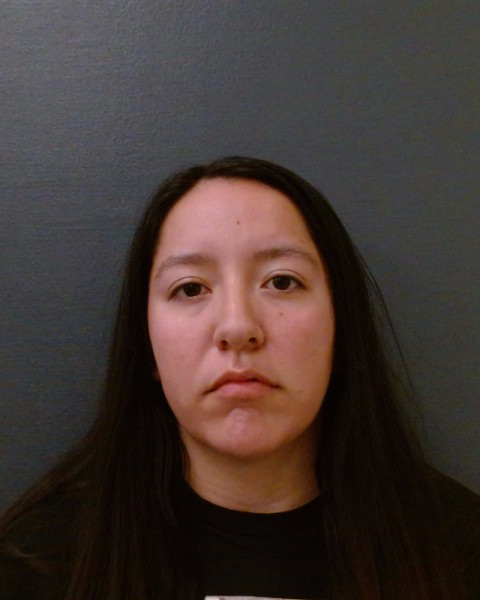 SALAS, SIERRA NICOLE booking photo