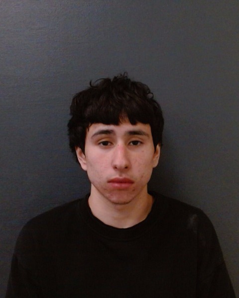 TAMEZ, ANGEL DAVID booking photo