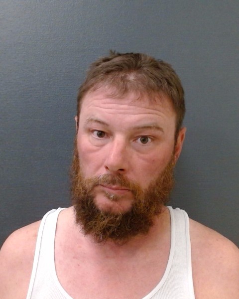 SAUER, BRICE ALLEN booking photo