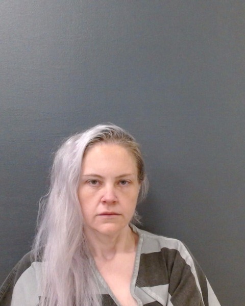 BRODE, MICHELLE LEANN booking photo