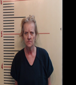 Cornett, Susan Christine booking photo