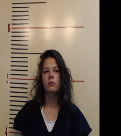 HALL, ALYSSA ANN booking photo