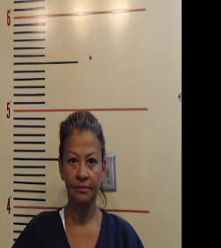 Reyes, Juanita Beatrice arrested by Parker County Sheriff’s Office