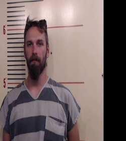 HARRIS, DOYLE SHAUN, Jr. booking photo