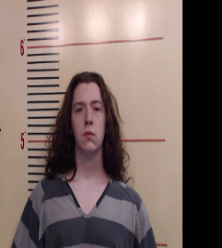 HAMPTON, LANDON COE booking photo